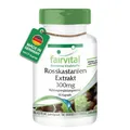 Produktbild: RosskastanienExtrakt 300mg, 90 Kapseln, schluckfreundlich, HOCHDOSIERT mit 20...