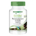 Produktbild: Rosskastanie Extrakt 300 mg 90 Kapseln 20% Aescin, hochdosiert VEGAN | fairvital