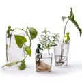 Produktbild: PelegDesign Leafriend Anzuchthelfer 3-er Set 17514