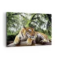 Produktbild: Wandbilder 120x80cm Leinwandbild Tiger Dschungel Ruhe Groß XXL Bilder Wanddeko