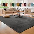 Produktbild: Teppich PACO HOME 