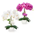 Produktbild: ® 2er Set Orchideen künstlich in Hochglanz-Keramiktöpfen 40cm | Kunstblumen i...
