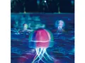 Produktbild: Trend Line Pool-Lampe Trendline LED Poolbeleuchtung Qualle 14,2 cm x