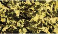 Produktbild: Showtec Show Konfetti Metall Gold, Rechteckig, 1 kg