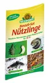 Produktbild: Ein Bestell Set mit Bestellgutschein wahlweise für einen der Nützlinge für 20 m² Bodenfläche