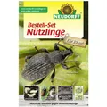 Produktbild: NEUDORFF® Bestell-Set Nützlinge gegen Bodenschädlinge für 20 m²