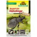 Produktbild: NEUDORFF Bestell-Set Nützlinge gg. Bodenschädlinge Nematoden Dickmaulrüssler