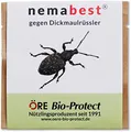 Produktbild: nemabest® HB Nematoden zur Bekämpfung des Dickmaulrüsslers - 3 Mio. für 6m², Insekten