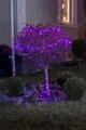 Produktbild: KONSTSMIDE LED-Lichterkette Weihnachtsdeko aussen, 80-flammig, LED Globelichterkette, runde Dioden, mit rot/blau Farbwechsel