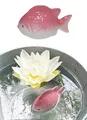 Produktbild: Teichdeko Schwimm Fisch rose 11x7 cm aus Porzellan schwimmend als Teich Deko