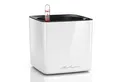 Produktbild: Lechuza® Kräutertopf Pflanztopf Cube Glossy 14 weiß highgloss