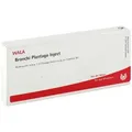 Produktbild: Bronchi Plantago Inject Ampullen