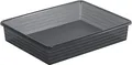 Produktbild: Rotho Linus Aufbewahrungsschale A4, Kunststoff (PP) BPA-frei, anthrazit, A4 (34,5 x 27,0 x 6,0 cm)