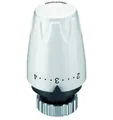 Produktbild: HEIMEIER Thermostat-Kopf DX weiß (RAL 9016)