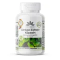 Produktbild: Warnke Vitalstoffe | Ginkgo Biloba Extrakt 95mg
