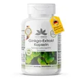 Produktbild: Ginkgo Biloba Extrakt 95mg - mit Flavonen und Lactonen - vegan - 90 Kapseln - schluckfreundlich | HERBADIREKT by Warnke Vitalstoffe - Deutsche Apothekenqualität
