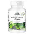 Produktbild: Ginkgo Biloba Extrakt 95mg - 90 Kapseln