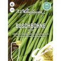 Produktbild: Buschbohne Sotexa, mittelfrühe, fadenlose und sehr ertragreiche Sorte, Samen