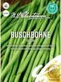 Produktbild: Buschbohne Sotexa mittelfrüh fadenlos ertragreich  Samen 02490