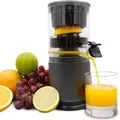 Produktbild: Livington JuiceBoost - tragbarer Akku Entsafter - Slow Juicer - Saftpresse