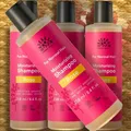 Produktbild: Urtekram Shampoo Rose Normales Haar 250ml Naturkosmetik Bio Vegan Silikonfrei