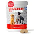 Produktbild: NutriLabs Dexboron® forte Hunde Kautabletten 450 STK. - Tabletten mit Teufelskralle für Hunde - Hunde Regenerationsmittel mit Weidenrinde, Weihrauchextrakt u.v.m. - Hunde Regenerationsmittel
