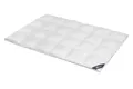 Produktbild: Daunendecke 155x200 cm 60 % Daunen Extra warme  Bettdecke Steppdecke Daunen SPESSARTTRAUM BLUE