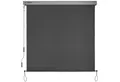 Produktbild: Sol Royal Markise Senkrechtmarkise MS5 Markise SolVision MS5, 180x250cm, Anthrazit Abnehmbare Handkurbel Wasserabweisender Sonnenschutz Vertikalmarkise