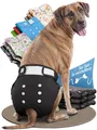 Produktbild: HUND IST KÖNIG® Windeln für Hündinnen, saugstarke Windeln, 3-Fach justierbar für festen Sitz