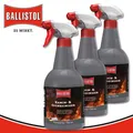 Produktbild: Ballistol 3 x 750 ml Kamin- & Ofenreiniger Pumpspray Grillrost Backblecke Töpfe
