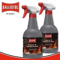 Produktbild: Ballistol 2 x 750 ml Kamin- & Ofenreiniger Pumpspray Grillrost Backblecke Töpfe