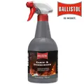Produktbild: Ballistol Kamin- und Ofenreiniger Kaminofenreiniger Reinigungsschaum 750ml