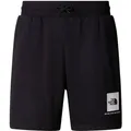 Produktbild: THE NORTH FACE Herren Shorts M BOX NSE REGULAR SHORT