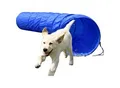 Produktbild: Agility Tunnel zusammenfaltbarer Tunnel für Hundesport versch. Größen