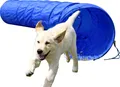Produktbild: Hunde Agility Tunnel 60 x L 5 m Hundetunnel Spieltunnel Agilitytunnel Hundesport