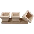 Produktbild: 576260 Create Craft Blumentopf-Set – 27 x 9 x 9 cm – Empress Tree, 1 Set