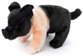 Produktbild: Uni-Toys - Angler Sattelschwein, stehend - 25 cm (Länge) - Plüsch-Schweinchen, Schwein - Plüschtier, Kuscheltier, (BH-13043)