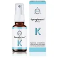 Produktbild: Spenglersan Kolloid K 50 ml