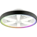 Produktbild: Led Deckenleuchte Mit Ventilator Gaiano Ø 48 Cm 48 W Schwarz Deckenlampen & Kronleuchter - Brilliant