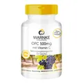 Produktbild: OPC 500 mg - 120 Tabletten mit gepuffertem Vitamin C, vegan | Warnke Vitalstoffe