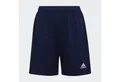 Produktbild: adidas Performance Sweatshorts ENTRADA 22 SHORTS