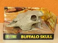 Produktbild: Exo Terra PT2857 Buffalo Skull / Schädel Terrarium Dekoration