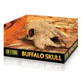Produktbild: Exo Terra Buffalo Skull - Premium-Dekoschädel für Terrarien