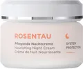 Produktbild: ANNEMARIE BöRLIND ROSENTAU Nachtcreme 50 ml 601823