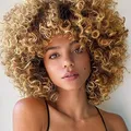 Produktbild: ColourfulPanda Afro Perücke Braun Blond Brazilian Synthetische Brasilianische...