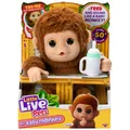 Produktbild: Little Live Pets interaktives Affenbaby Mango My Baby Monkey Äffchen NEU/OVP