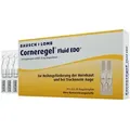Produktbild: Corneregel Fluid EDO 10X0,6 ml