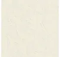 Produktbild: Rasch Vliestapete Das Beste (2025), 483505, Uni, 10.05 x 0.53 m, Beige, Creme