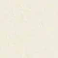 Produktbild: Vliestapete 483505 Tapete Retro Vintage 53 x 1005 cm Rasch Das Beste (2025)