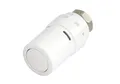 Produktbild: 013G6080 RAX Heizkoerperthermostat mechanisch 8 bis 28 °C, 5.5 x 5.5 x 9.7 cm